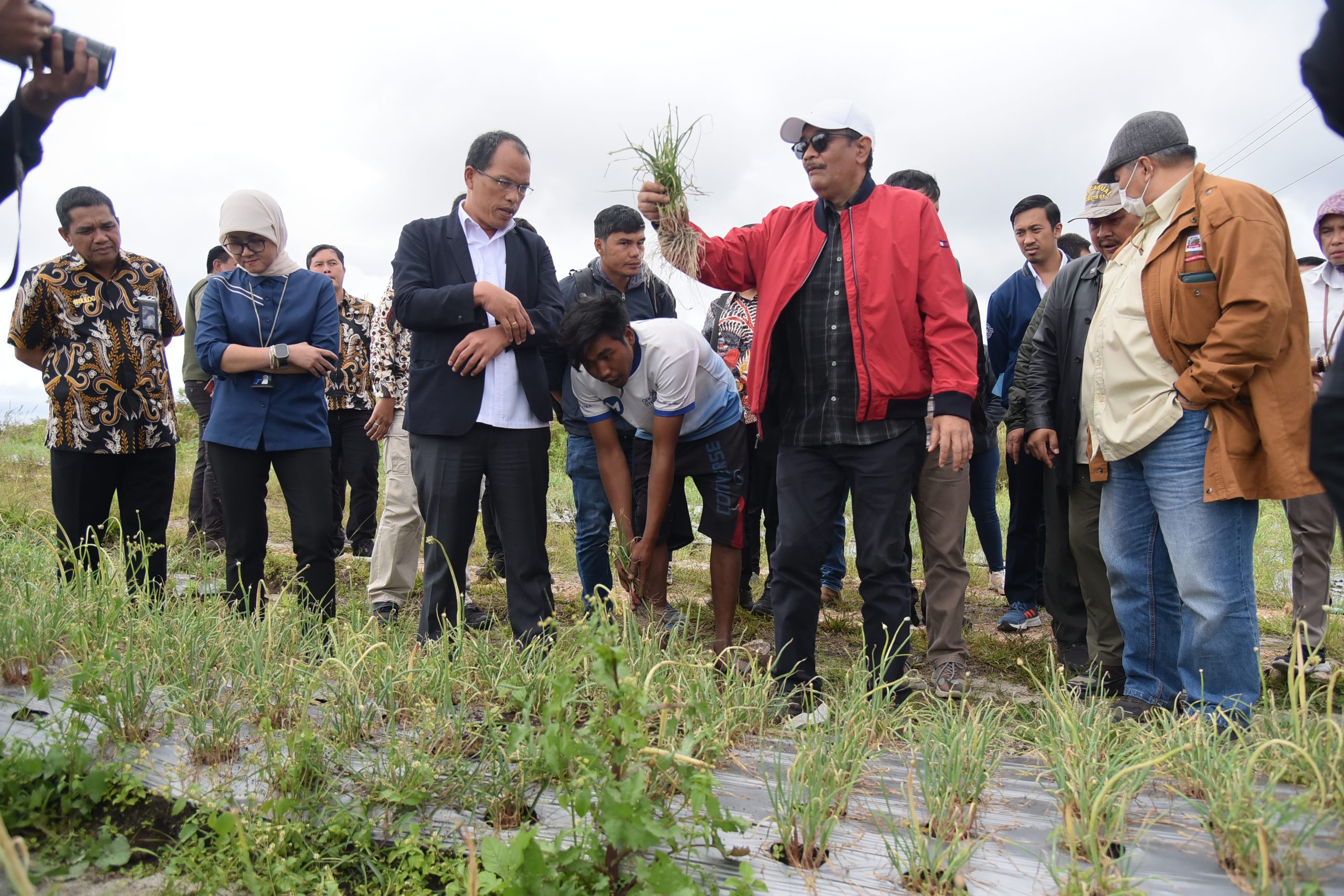 Anggota Komisi IV DPR RI Djarot Saiful Hidayat saat memimpin Kunspik Komisi IV DPR RI ke lokasi pengembangan kawasan FE di Desa Ria Ria. Foto: Tiara/nr