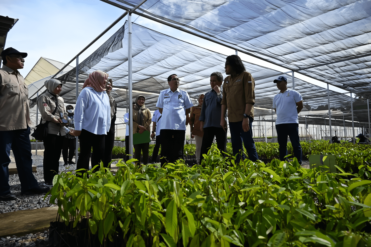 Pasok Bibit Tanaman untuk IKN, Komisi IV Apresiasi Kondisi Persemaian Mentawir
