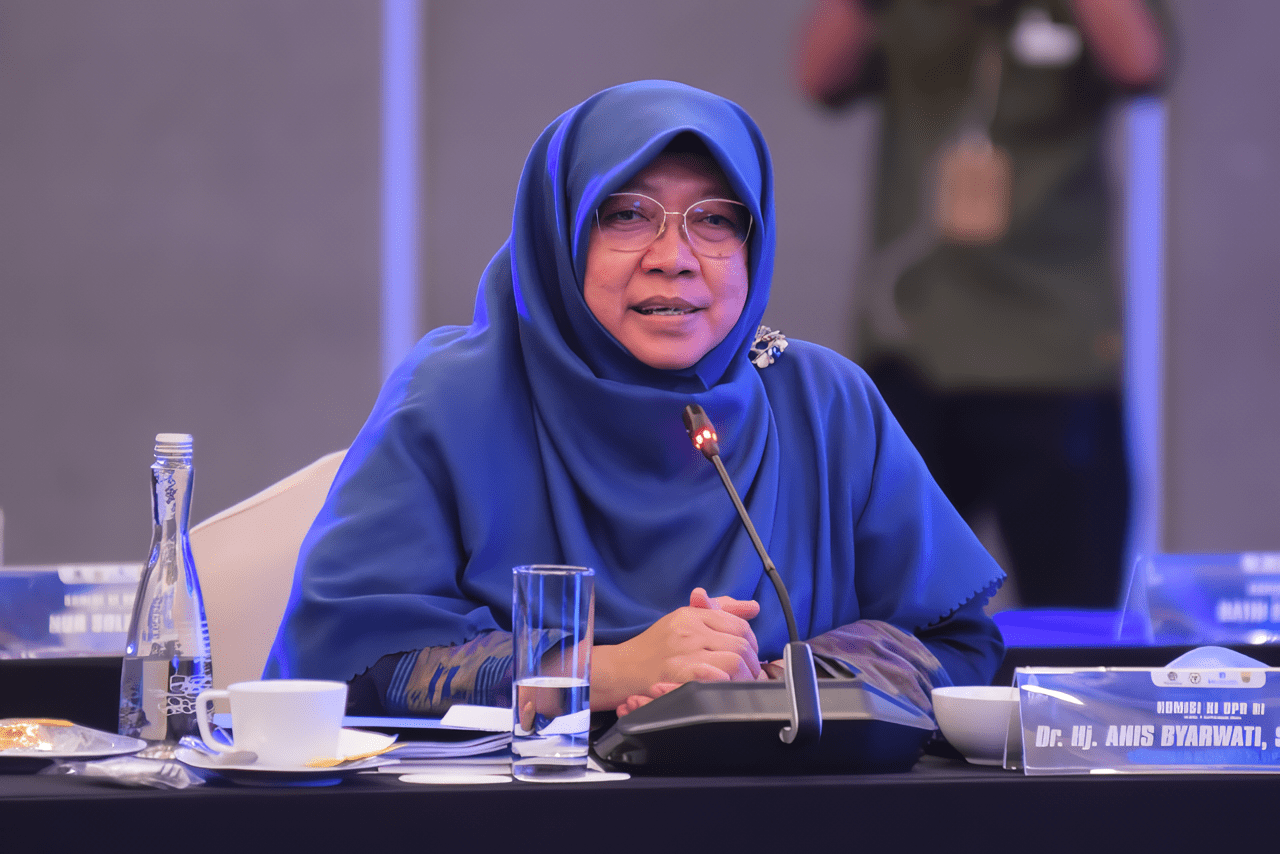 Anggaran Perlinsos 2024 Naik, Anis Byarwati Ingatkan Hal Ini
