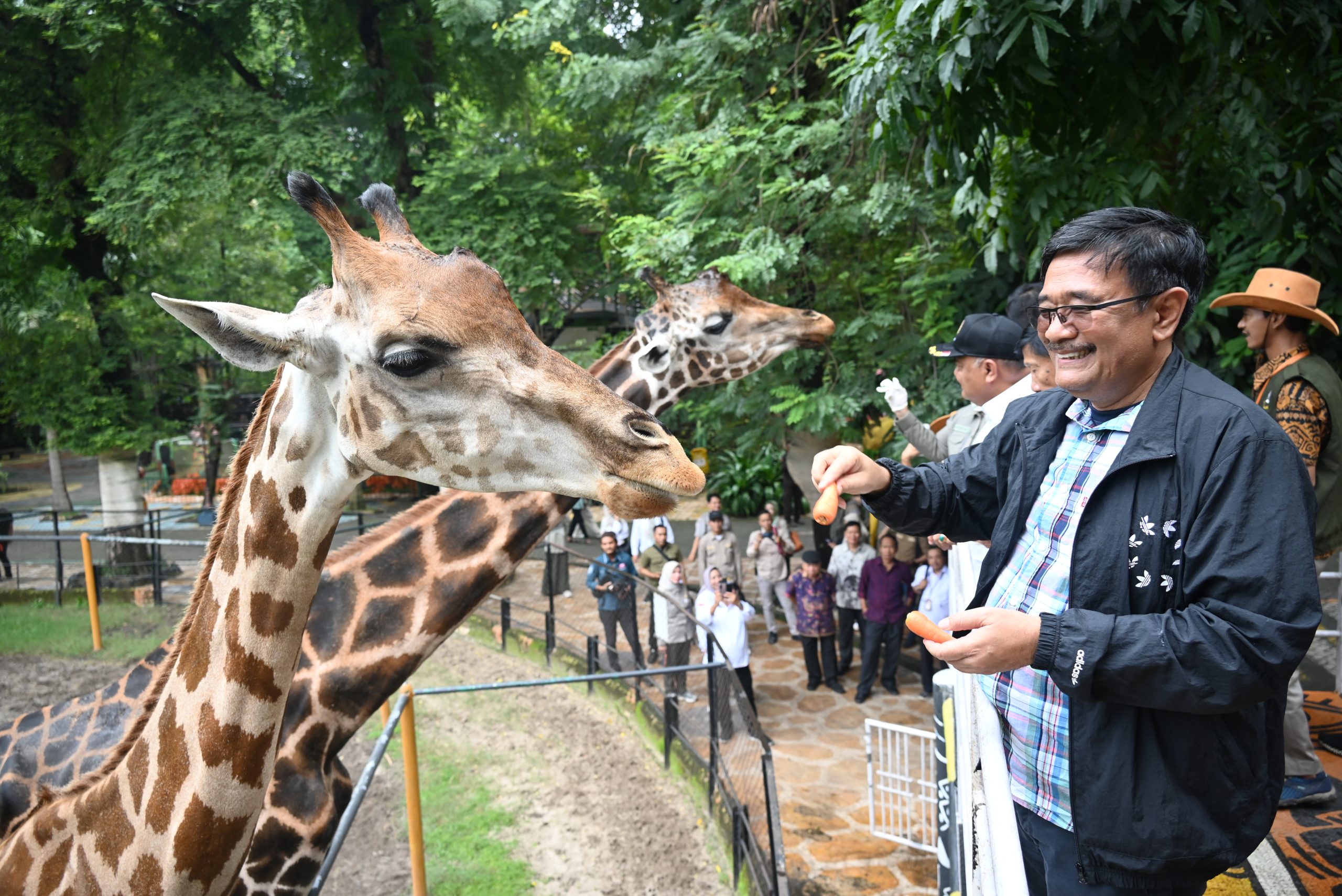 Berhasil Kembang Biakkan Komodo, Kebun Binatang Surabaya Jadi Kebanggaan Warga Jatim