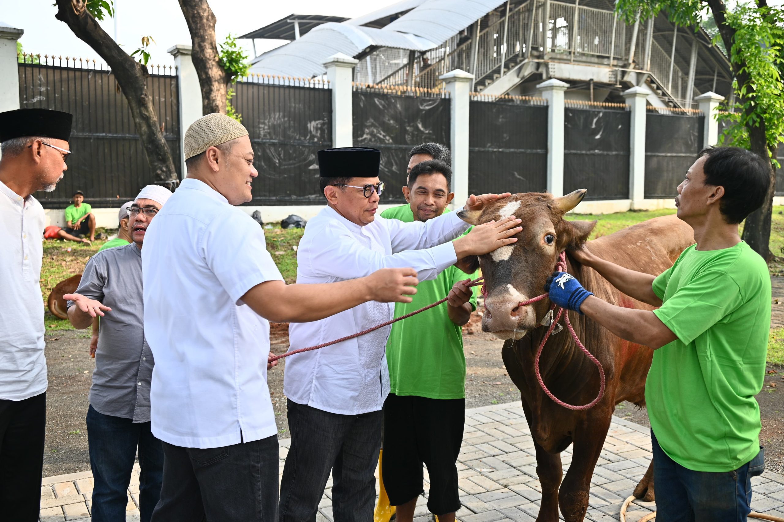 Kurban Sapi dan Kambing di Kompleks Parlemen, Wujud Ketaatan Pegawai Ikuti Ajaran Nabi Ibrahim