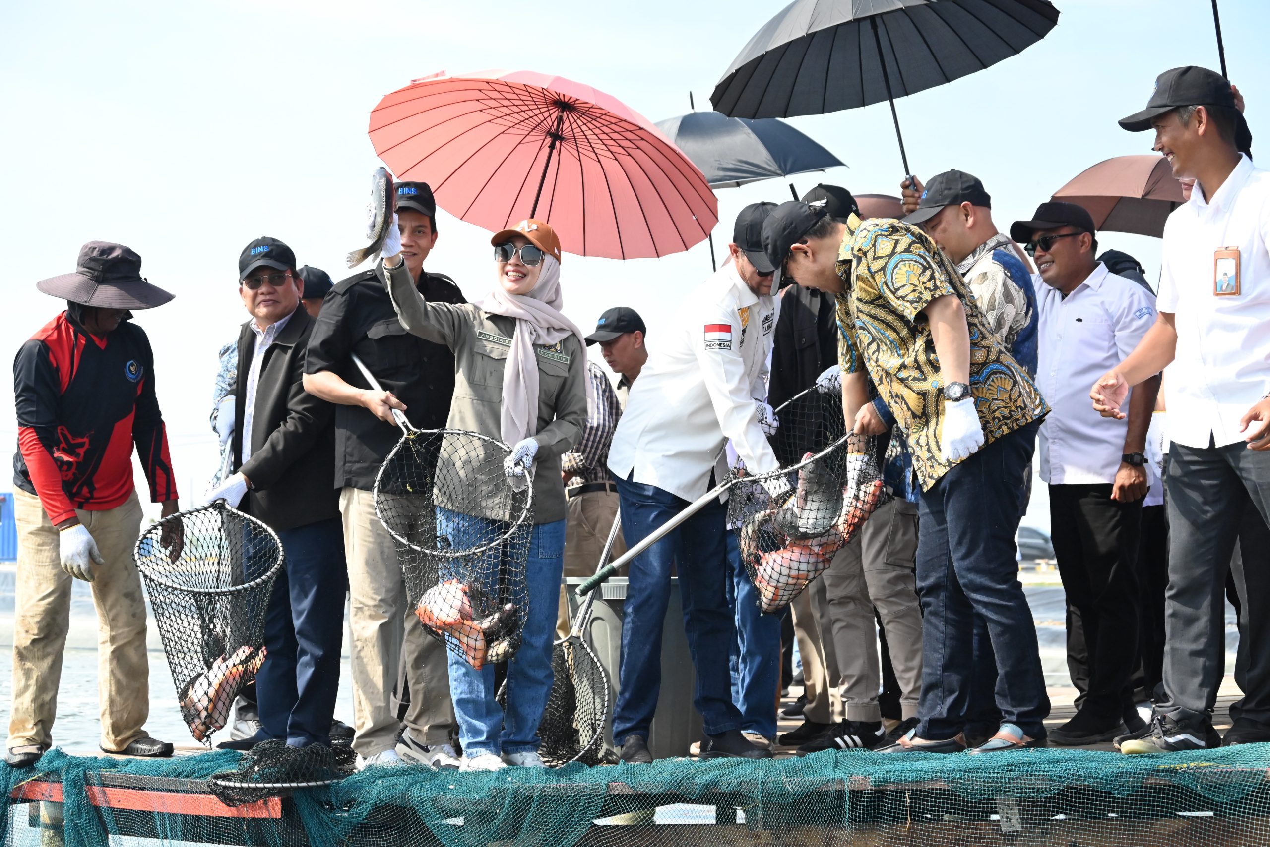 Komisi IV Dukung Modeling Budidaya Ikan Nila Salin Karawang untuk Pembudidaya Rakyat