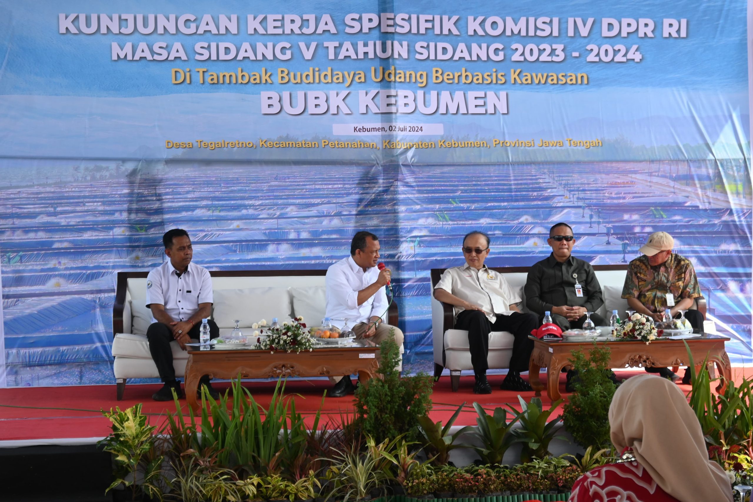 Pengelolaan Budidaya Udang di Kebumen Jadi Percontohan Pola Modern