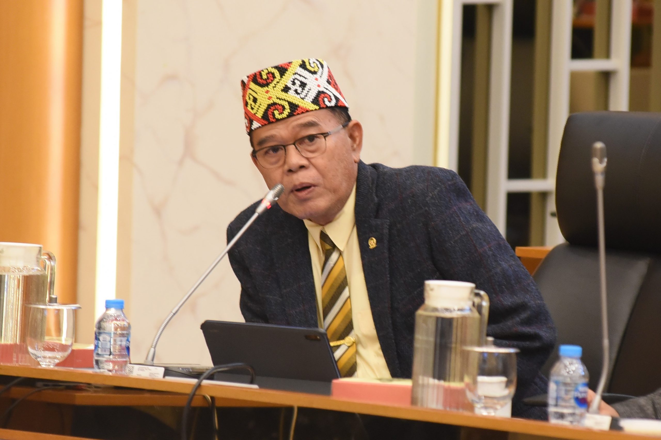 Adrianus Soroti Program Makan Bergizi Gratis dan Keamanan Pangan Guna Mencapai Swasembada di 2029