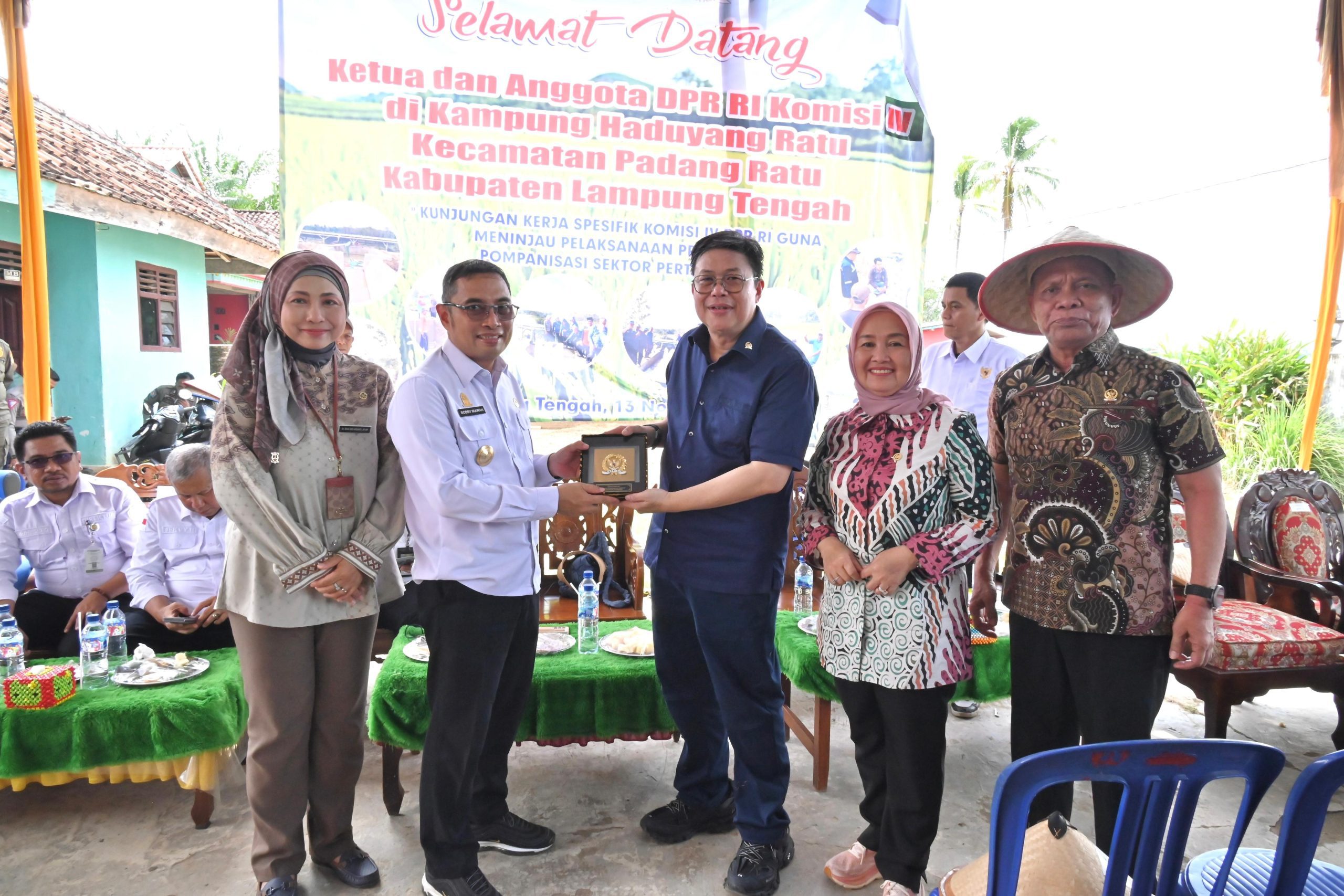 Jadi Sentra Terbesar di Lampung, Produksi Padi di Lampung Tengah Harus Ditingkatkan