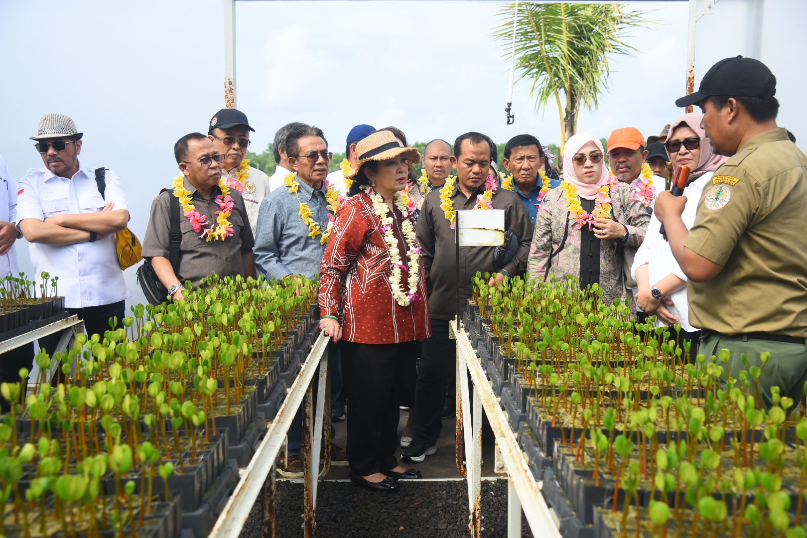 Komisi IV Tinjau Kawasan Mangrove Tahura Ngurah Rai Bali untuk Pengawasan Pembibitan dan Pengembangan
