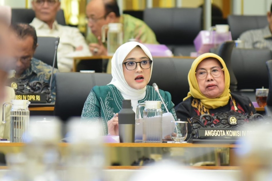 KKP Perlu Beri Perhatian Lebih pada UMKM Budidaya Ikan dan Nelayan Kecil