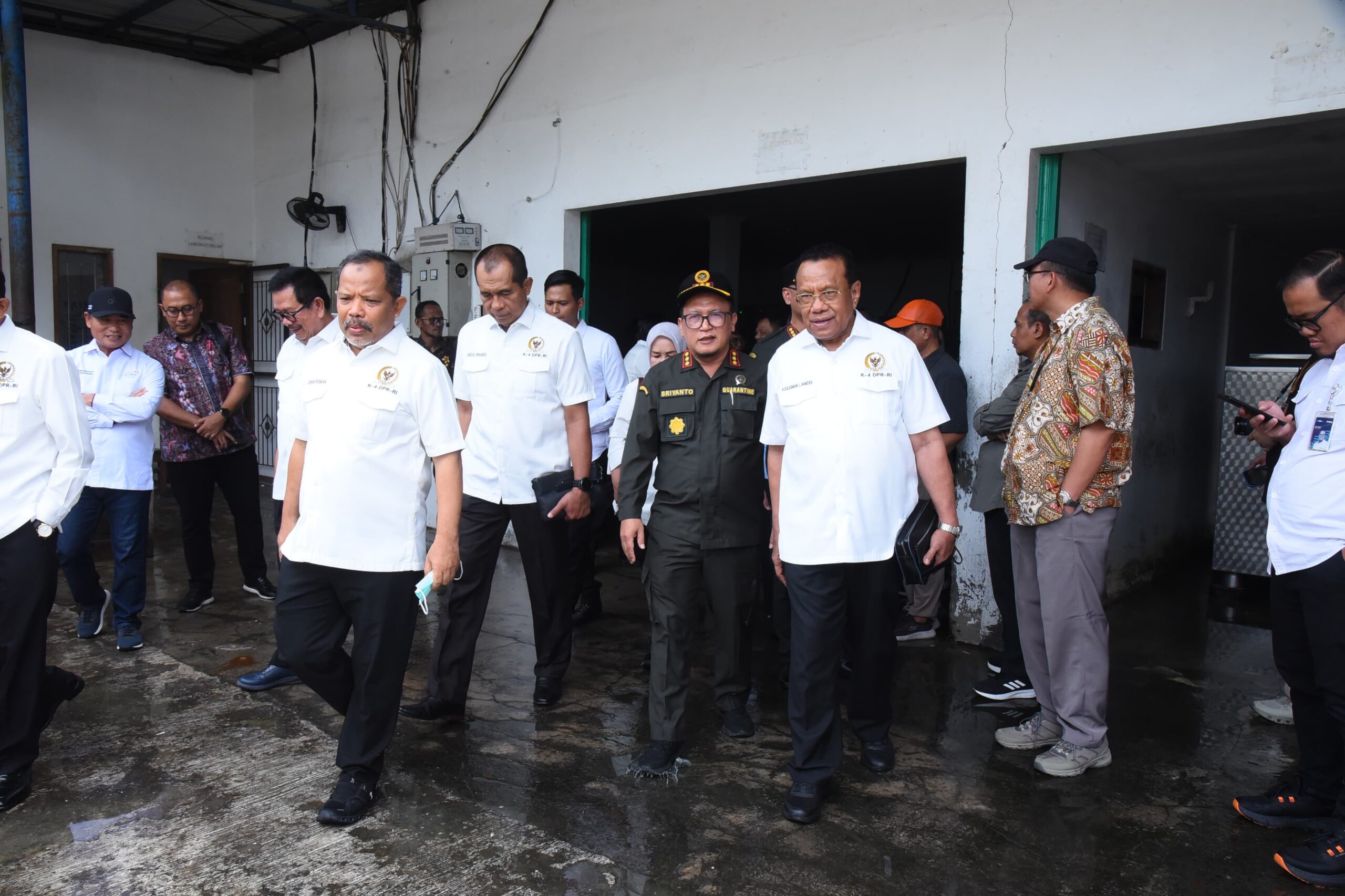 PMK Menyebar, Peternak Sapi Perah Boyolali Butuh Pendampingan dan Motivasi dari Pemerintah