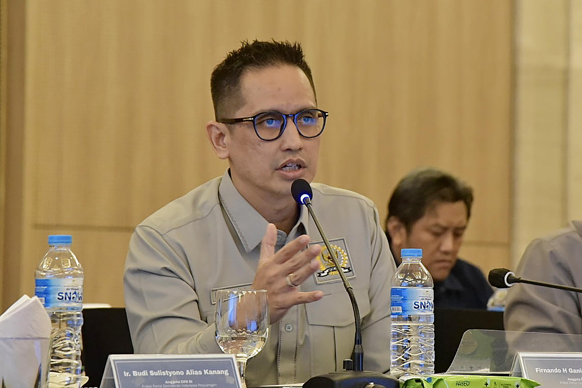 Peran BUMN dalam Program Perumahan Nasional Perlu Dioptimalkan