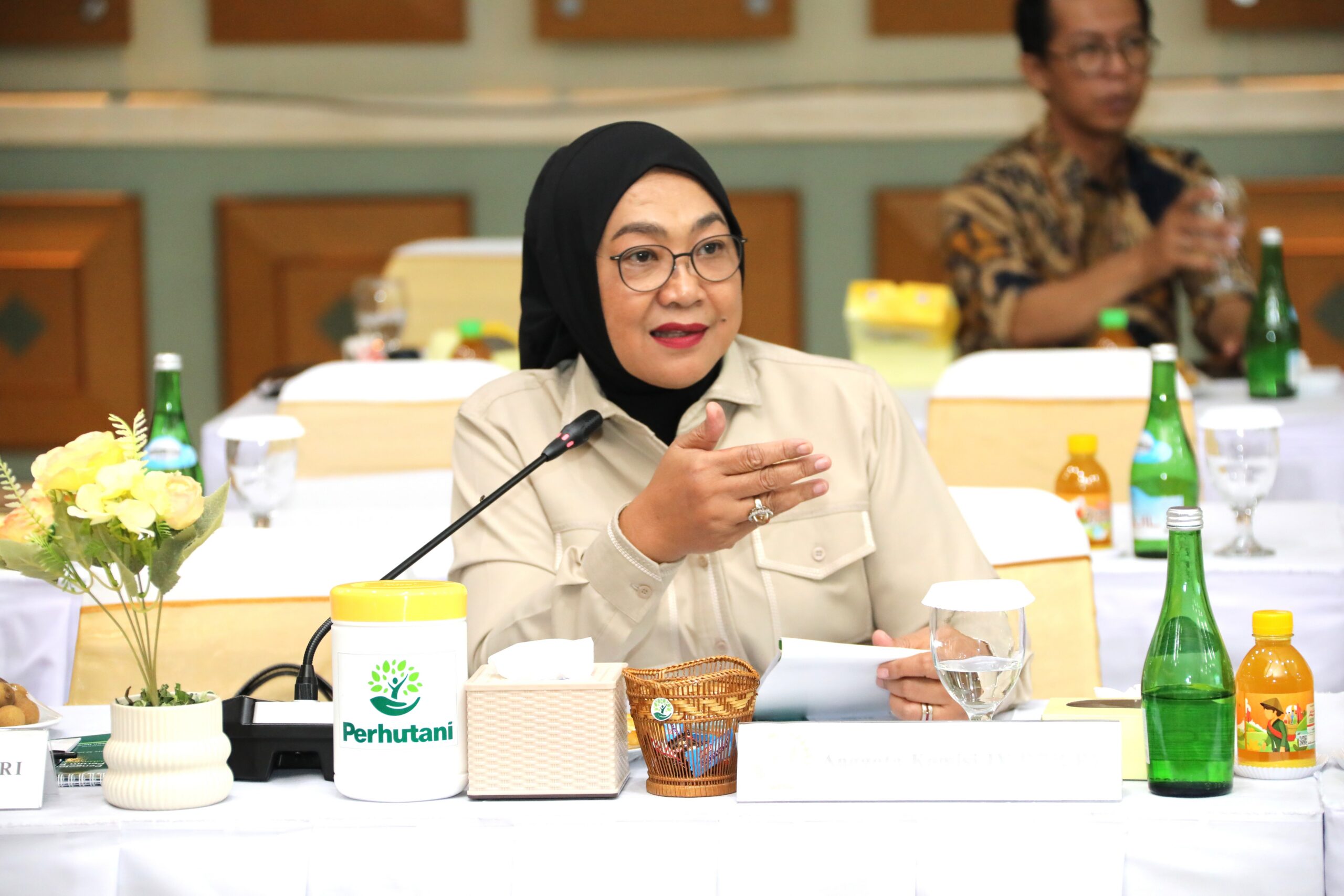 Sadarestuwati Ingatkan Potensi Konflik PAD dan PNBP, Desak Pengelolaan Hutan Berbasis Lingkungan