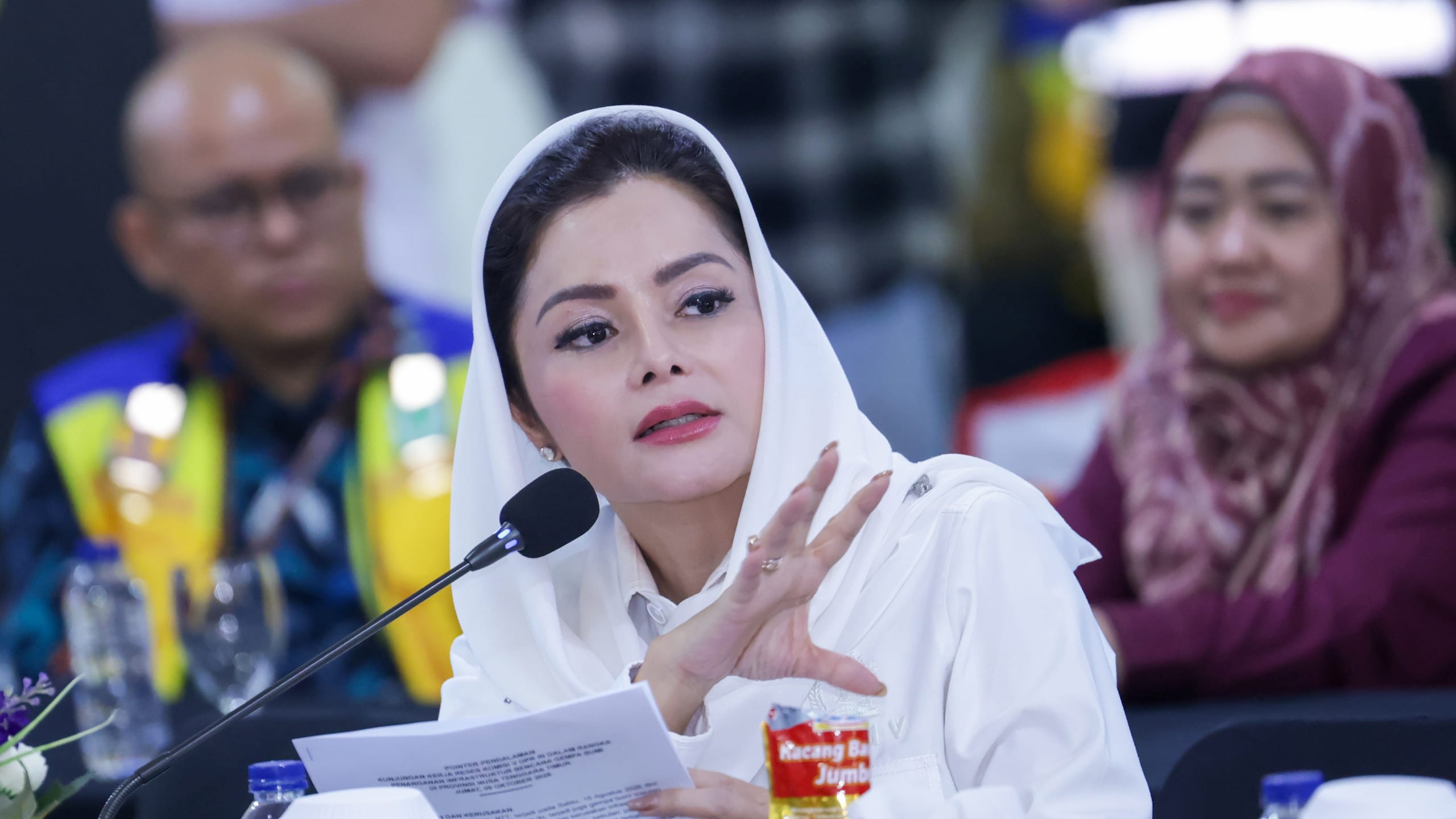Novita Wijayanti Dorong Pengembangan Embung untuk Perkuat Ketersediaan Air di NTT