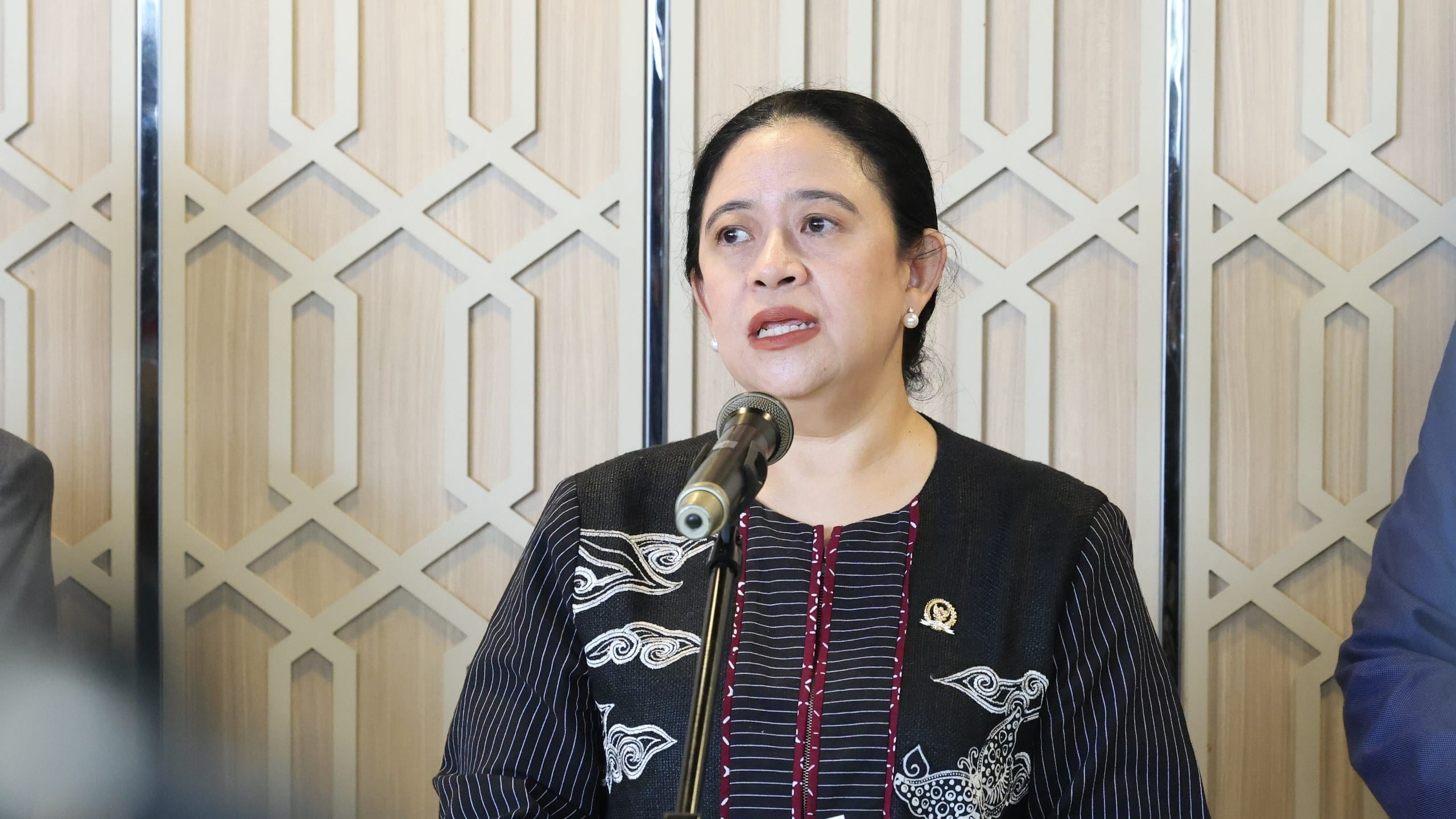 Puan Minta Pemerintah Perkuat Perlindungan Warga Terdampak Karhutla
