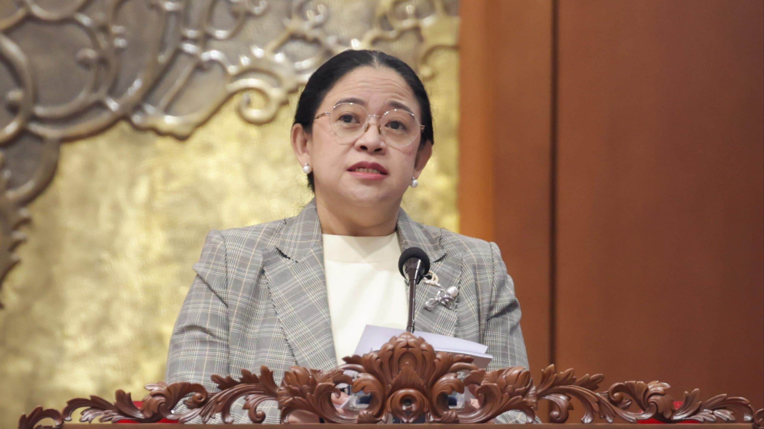 Karhutla Ganggu Penghidupan, Puan Minta Dukungan bagi Warga