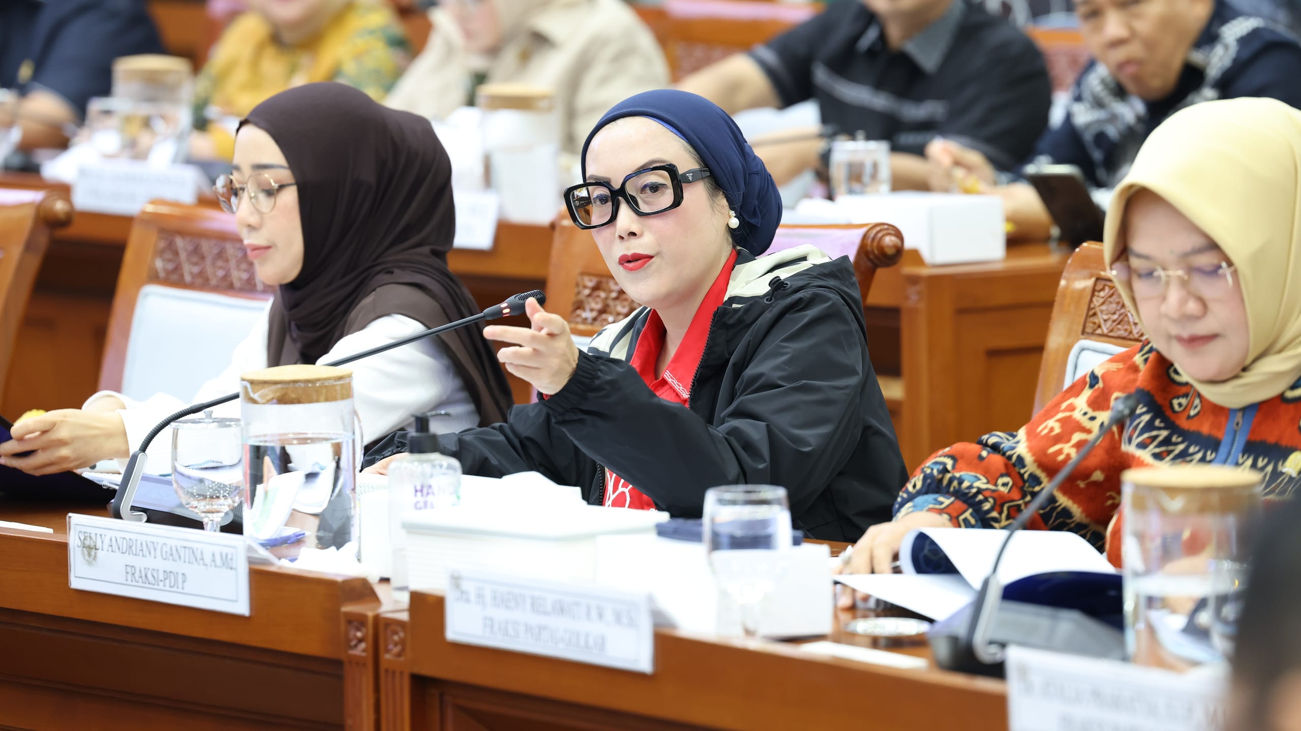 Selly Desak BNPB Perkuat Mitigasi Karhutla Berbasis Risiko