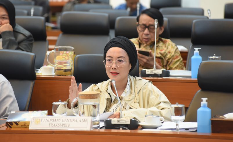 Anggota Komisi VIII DPR RI, Selly Andriany Gantina. Foto: Arief/vel.