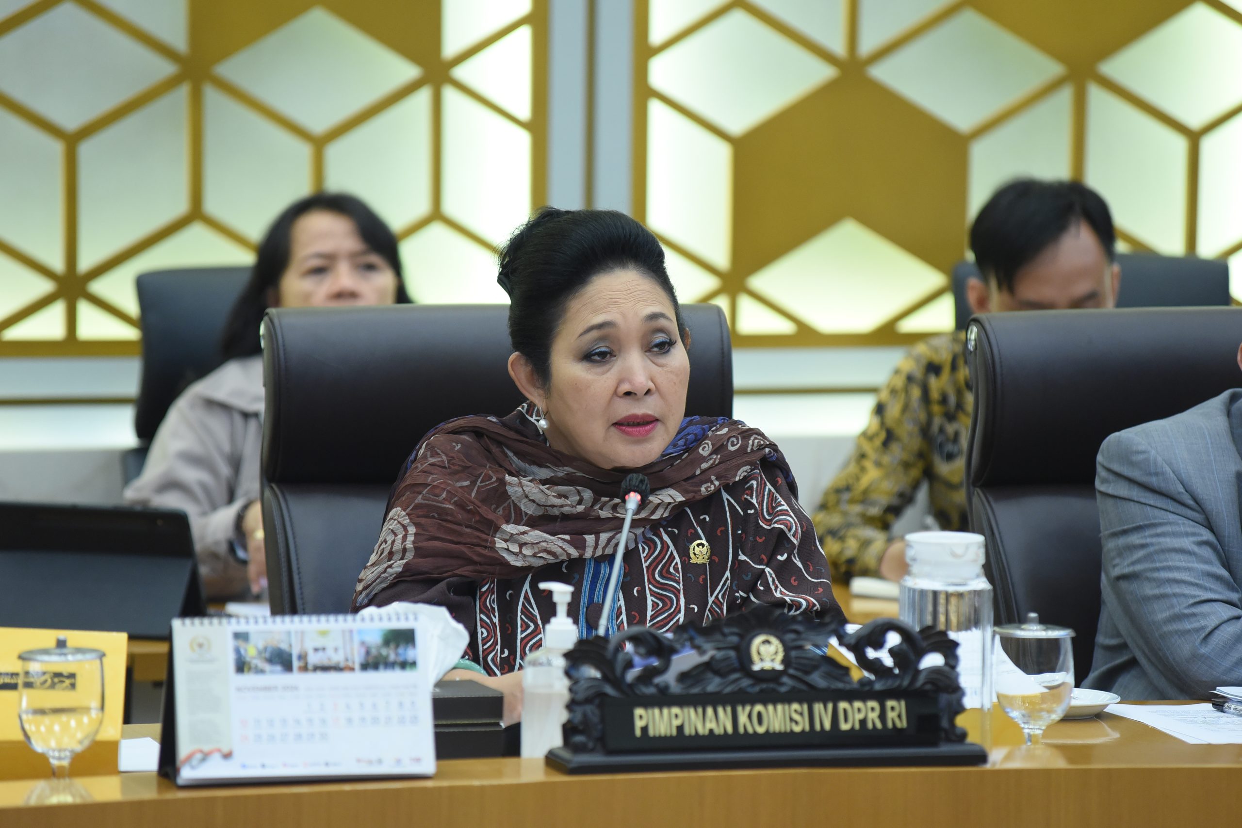 Ketua Komisi IV DPR RI Siti Hediati Hariyadi. Foto: Arief/vel.