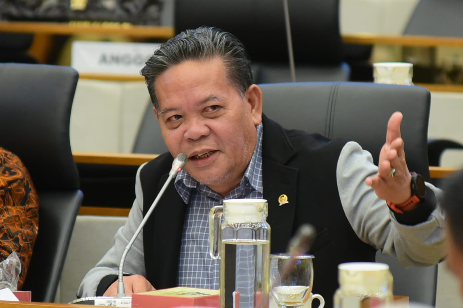 Anggota Komisi IV DPR RI Paolus Hadi, saat mengikuti Rapat audiensi Komisi IV dengan Wahana Lingkungan Hidup Indonesia (Walhi), Rabu (12/2/2025). Foto: Oji/vel.