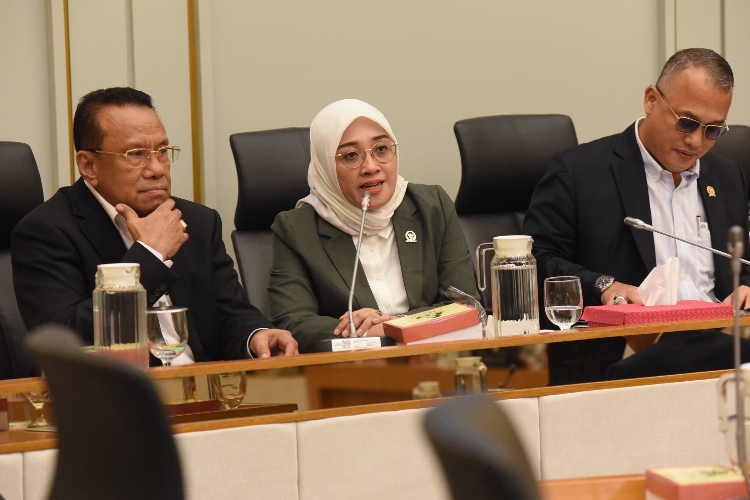 Anggota Komisi IV DPR RI, Hindun Anisah. Foto: Arief/vel.