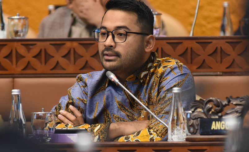 Anggota Komisi V DPR RI Zigo Rolando. Foto: Arief/vel.