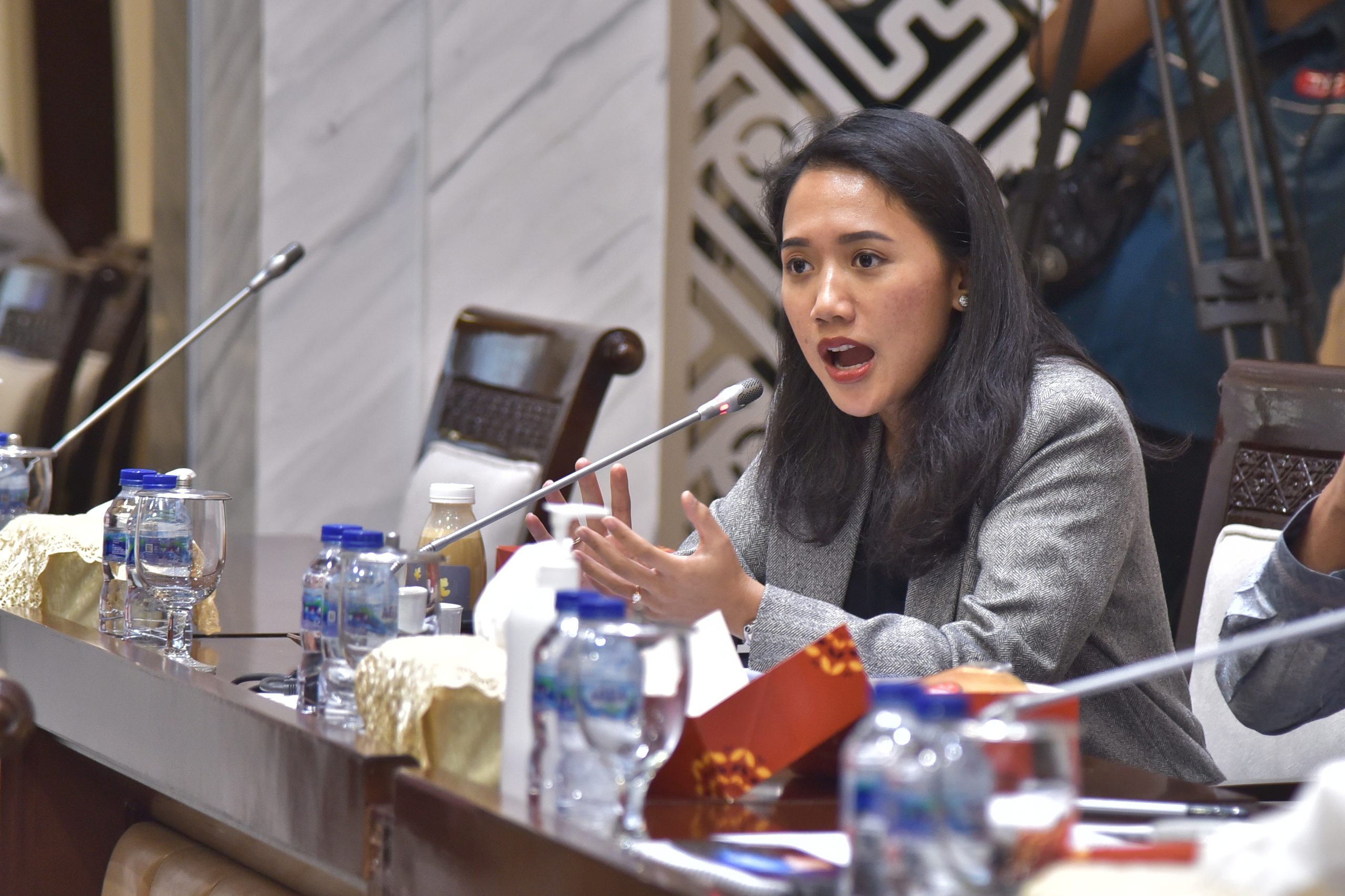 Anggota Komisi XI DPR RI Puteri Komarudin. Foto: Dok/vel.