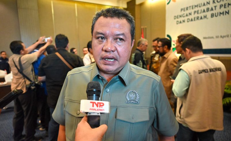 Wakil Ketua Komisi VII DPR RI Lamhot Sinaga, usai pertemuan dengan mitra kerja dan stakeholder terkait sawit, di Medan, Sumatera Utara, Kamis (11/4/2025). Foto: Ridwan/vel.