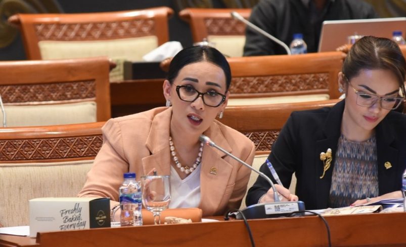 Anggota Komisi I DPR RI Amelia Anggraini saat RDPU Panja Penyiaran Komisi I DPR RI dengan Persatuan Wartawan Indonesia (PWI), Asosiasi Jurnalis Independen (AJI), dan Asosiasi Video Streaming Indonesia (AVISI) di Gedung Nusantara I, Senayan, Jakarta, Selasa (6/5/2025). Foto: Arief/vel.