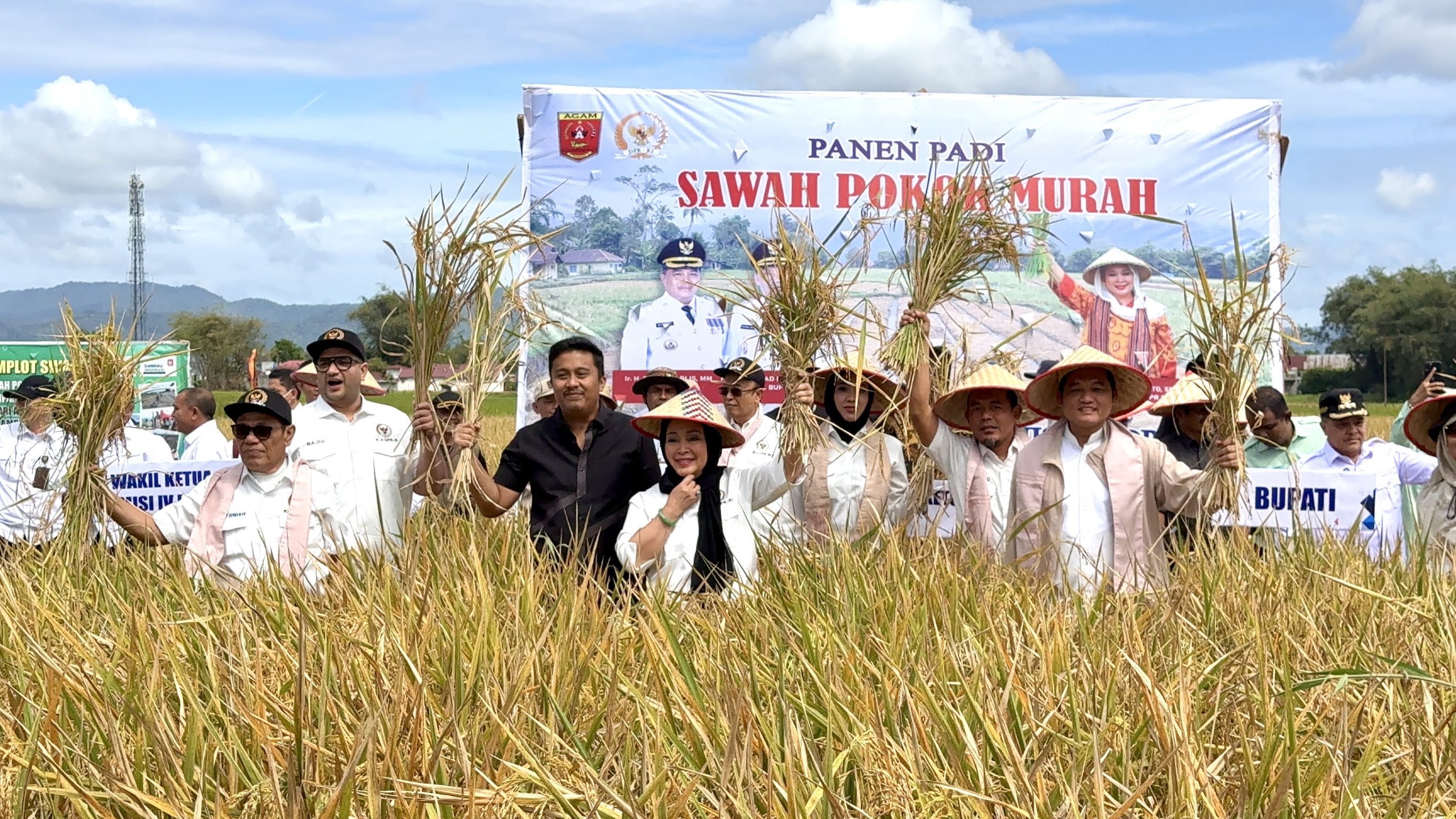 Ketua Komisi IV DPR RI Siti Hediati Soeharto bersama tim saat melakukan panen padi dengan Metode Sawah Pokok Murah (SPM) di Kabupaten Agam, Sumatera Barat, Sabtu (21/6/2025). Foto: Tiara/vel.