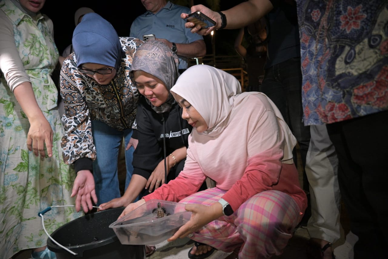 Anggota Komisi VII DPR RI Rahmawati saat mengikuti kegiatan pelepasan tukik di Pulau Maratua, Jumat (20/6/2025). Foto: Agung/vel.