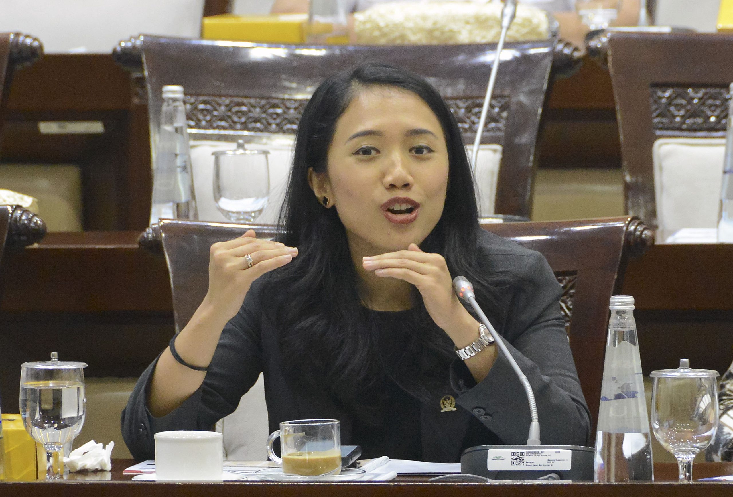 Anggota Komisi XI DPR RI Puteri Komarudin. Foto : Mario/Andri.