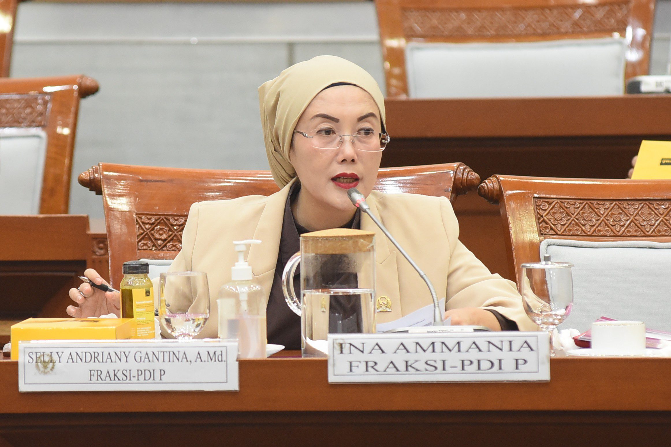 Anggota Komisi VIII DPR RI, Selly Andriany Gantina. Foto: dok/vel.