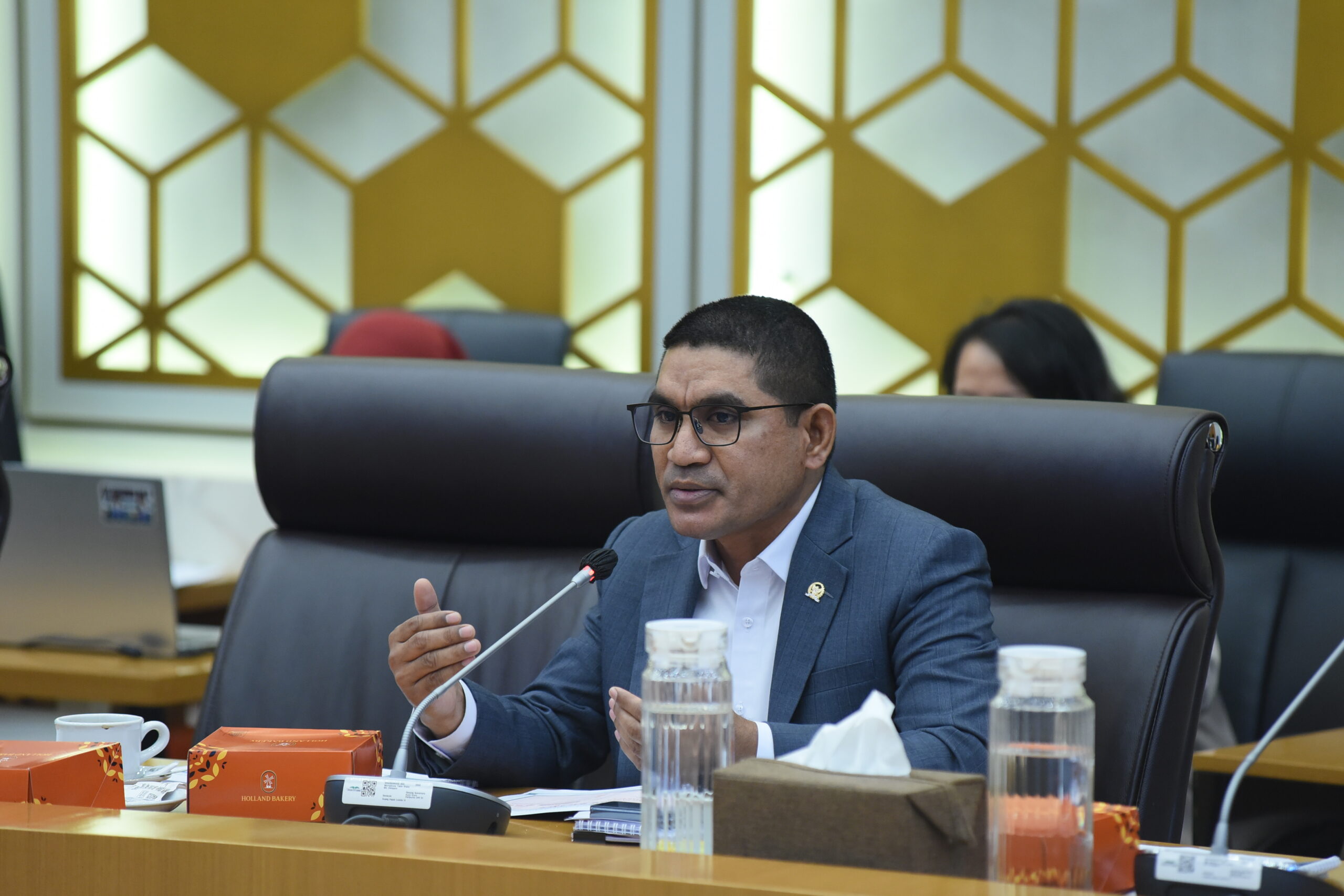 Wakil Ketua Komisi IV DPR RI Ahmad Yohan. Foto: Oji/vel.