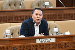 Anggota Komisi II DPR RI, Mardani Ali Sera. Foto: Tari/vel.