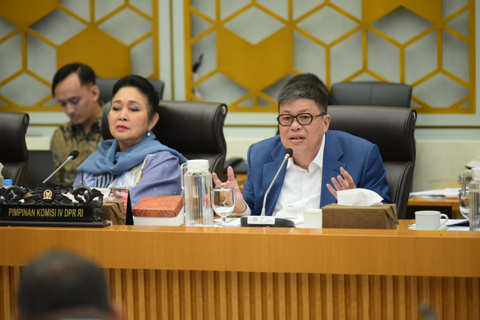 Wakil Ketua Komisi IV DPR RI, Alex Indra Lukman. Foto: Oji/vel.