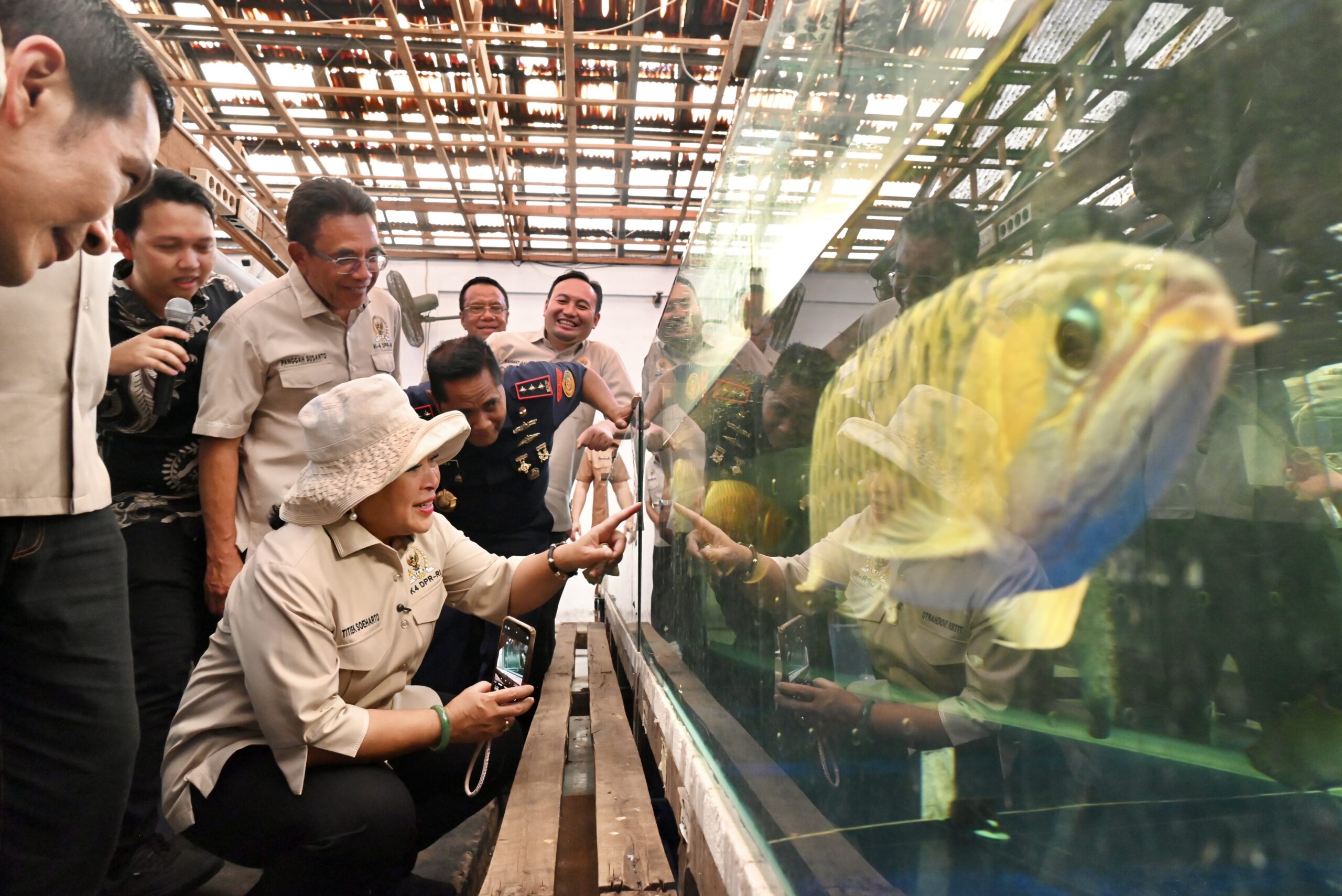 Ketua Komisi IV DPR RI, Siti Hediati Hariyadi saat melihat ikan hias dalam kegiatan pelepasan ekspor perdana kratom dan arwana di Balai Karantina Hewan, Ikan, dan Tumbuhan Kalbar, Pelabuhan Laut Dwikora Pontianak, Selasa (30/9/2025). Foto: Yasmin/vel