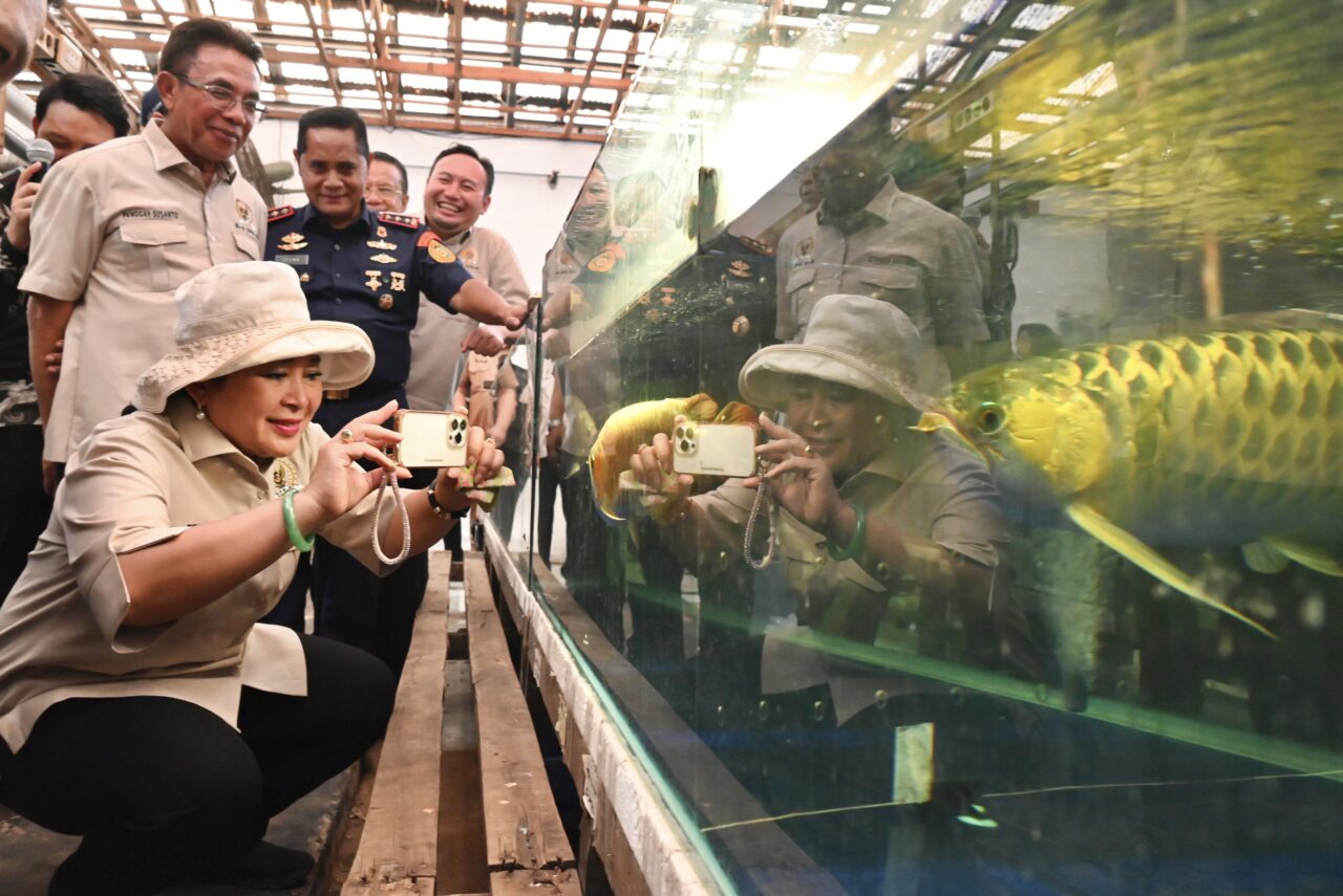 Ketua Komisi IV DPR RI, Siti Hediati Soeharto saat mengikuti kegiatan pelepasan ekspor perdana kratom dan arwana di Balai Karantina Hewan, Ikan, dan Tumbuhan Kalbar, Selasa (30/9/2025). Foto: Yasmin/vel