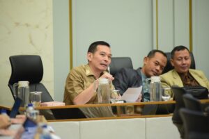 Anggota Komisi IV DPR RI Daniel Johan. Foto: Oji/vel.