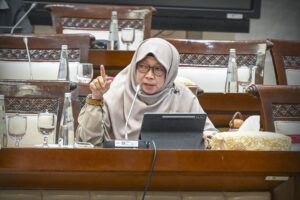 Anggota Komisi XI DPR RI Anis Byarwati. Foto: Mario/vel.