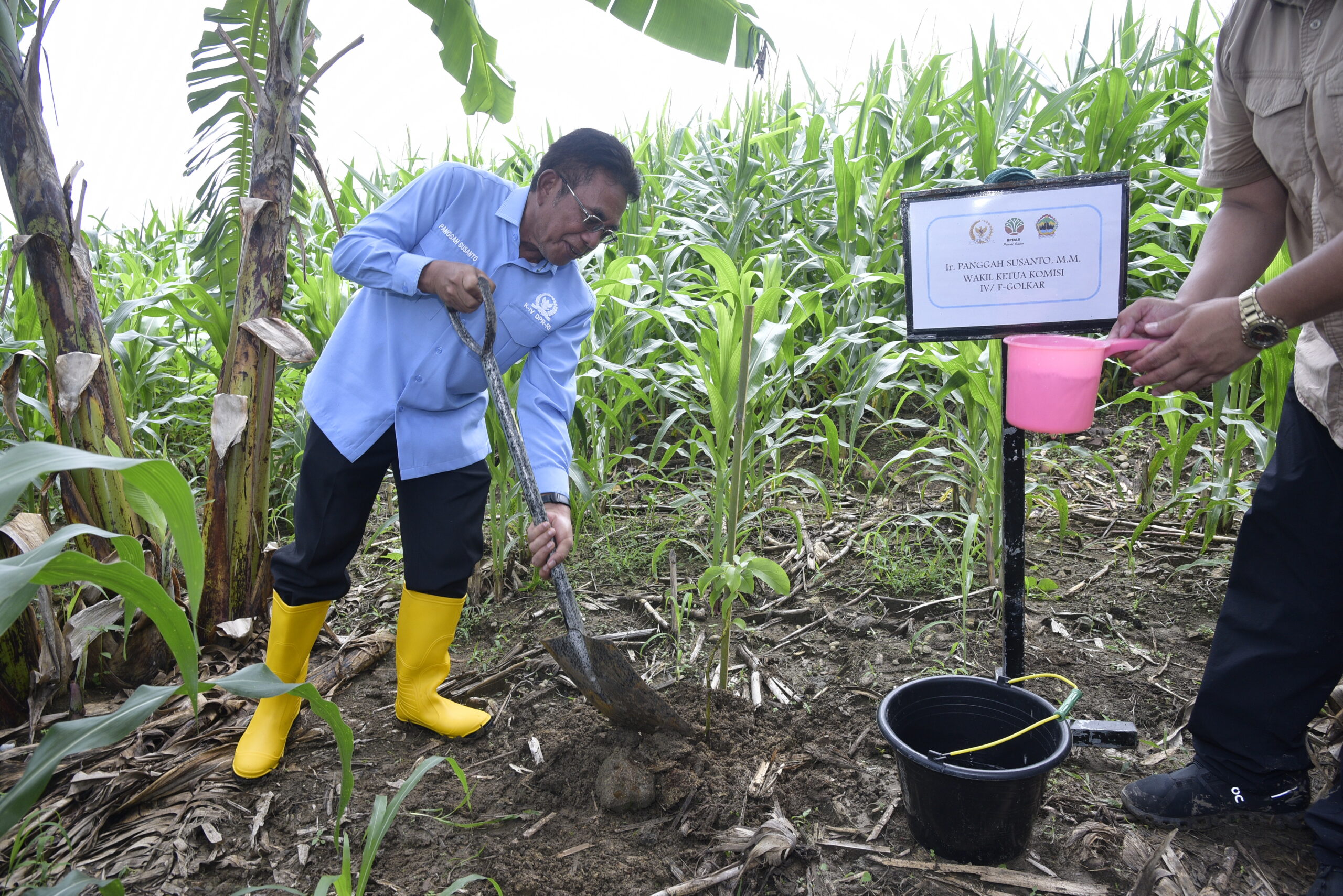 Wakil Ketua Komisi IV DPR RI Panggah Susanto menanam bibit tanaman di Balai Pengelolaan Daerah Aliran Sungai (BPDAS) Pemali Jratun, Semarang, hari Kamis (6/11/2025). Foto: Munchen/vel.