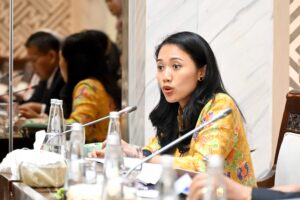 Anggota Komisi XI DPR RI Puteri Komarudin saat mengikuti Rapat Dengar Pendapat dengan Direktur Jenderal Strategi Ekonomi dan Fiskal Kemenkeu RI, Senin (17/11/2025). Foto: Mario/vel.
