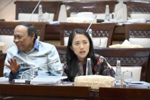 Anggota Komisi XI DPR RI Puteri Komarudin. Foto: Mario/vel.