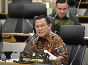Anggota Komisi V DPR RI Hanan A. Rozak. Foto : Ist/Andri.