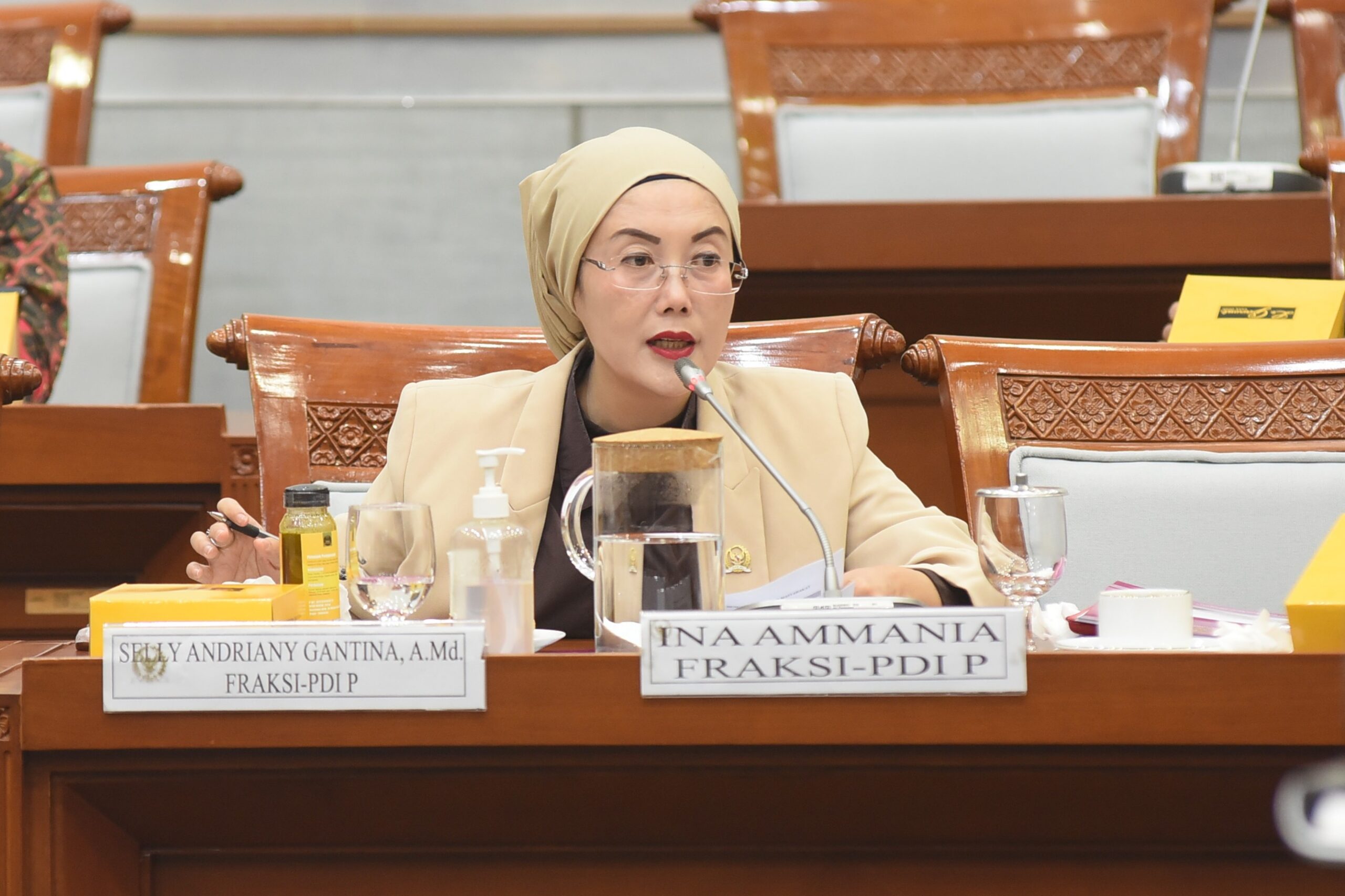 Anggota Komisi VIII DPR RI, Selly Andriany Gantina. Foto: Arief/vel.