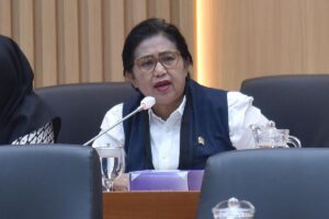 Anggota Komisi IX DPR RI Irma Suryani. Foto : Dok/Andri.