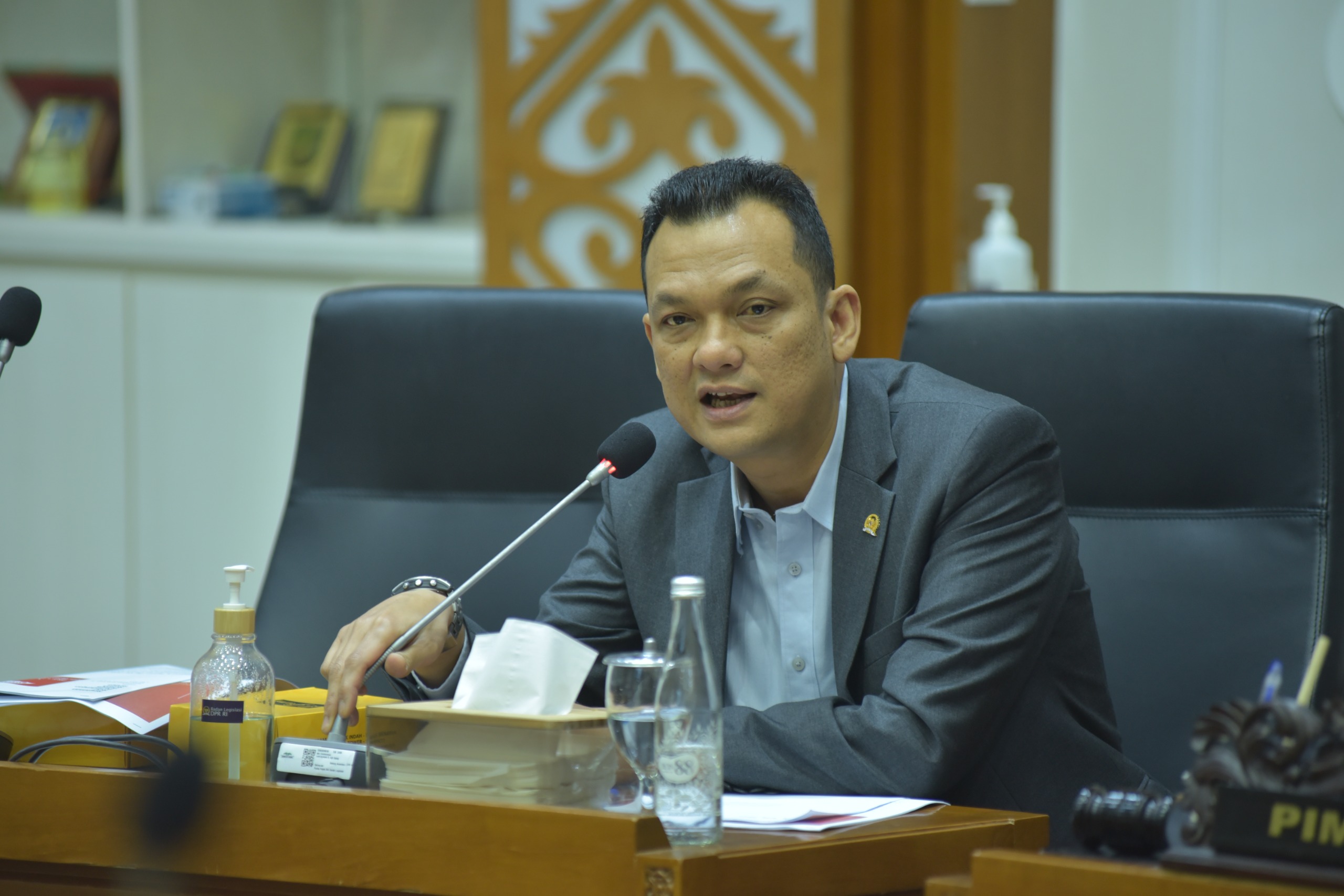 Anggota Komisi XI DPR RI Martin Manurung. Foto : Dok/Andri.