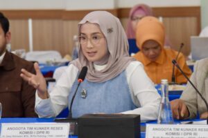 Anggota Komisi I DPR RI Desy Ratnasari saat mengikuti pertemuan kunjungan kerja reses Komisi I ke Semarang, Jawa Tengah. Foto: Aditya/vel.