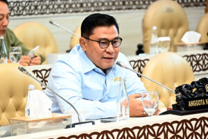 Anggota Komisi V DPR RI Danang Wicaksana Sulistya. Foto : Runi/Han.