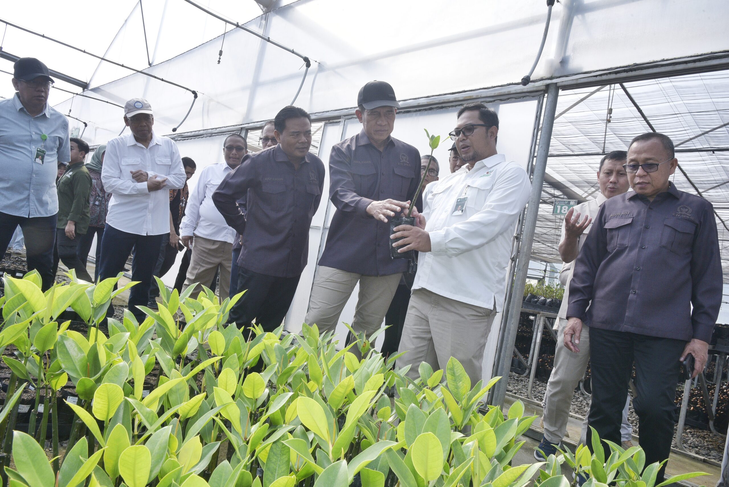 Wakil Ketua Komisi IV DPR RI Abdul Kharis meninjau bersama Tim Kunsfik Komisi IV, serta didampingi Kepala BPDAS Heru Permana di Persemaian Modern Rumpin, Bogor, Jumat (5/12/2025). Foto: Munchen/vel