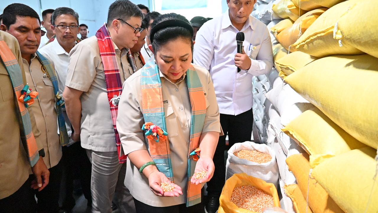 Ketua Komisi IV DPR RI Siti Hediati Hariyadi saat mengecek kondisi stok pangan, khususnya jagung Gudang Sewa Perum Bulog yang dikelola oleh PT BGR Logistik Indonesia di Kompleks Pergudangan Parangloe, Kota Makassar, Jumat (28/11/2025). Foto: Taufan/vel.