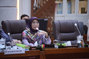 Anggota Komisi IX DPR RI, Netty Prasetiyani Aher. Foto: Geraldi/Mahendra.