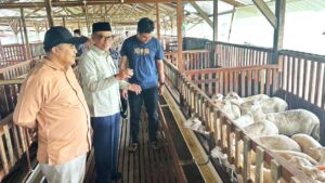 Anggota Komisi X DPR RI, Abdul Fikri Faqih sedang melakukan kunjungan ke Muji Jaya Farm, Tegal. Foto: Ist/Mahendra.